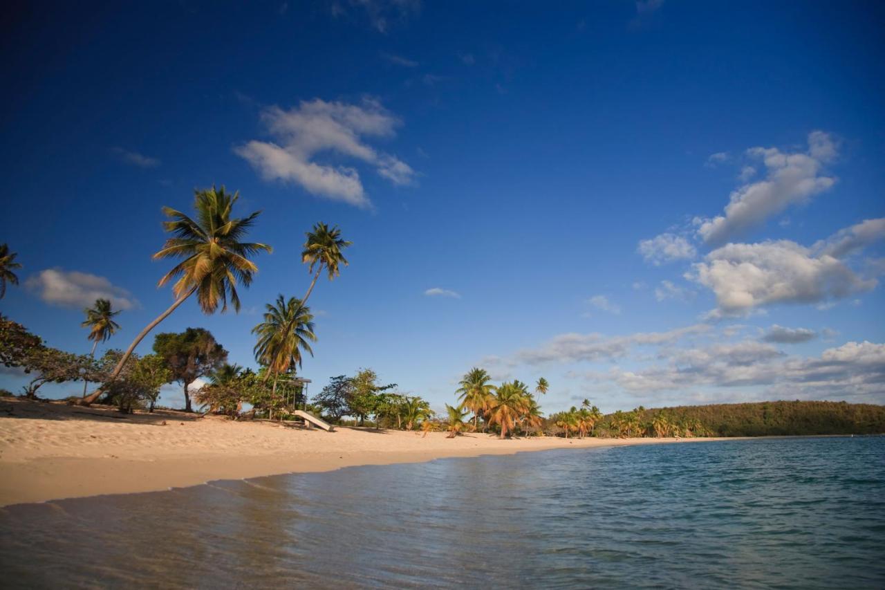 Las Terrazas Los Chivos Vieques Exterior foto